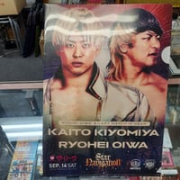 レックス・ルガー（WCW時代）可動式フィギュア（開封済） | プロレス