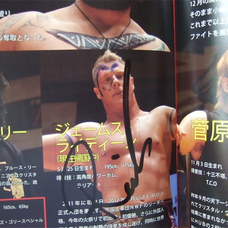 DDTプロレスサイン入りパンフレット等セット DDTプロレス】ひらがなまっするサイン入り同人誌・Tシャツ