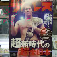 燃闘30年史 ジャイアント馬場 アントニオ猪木