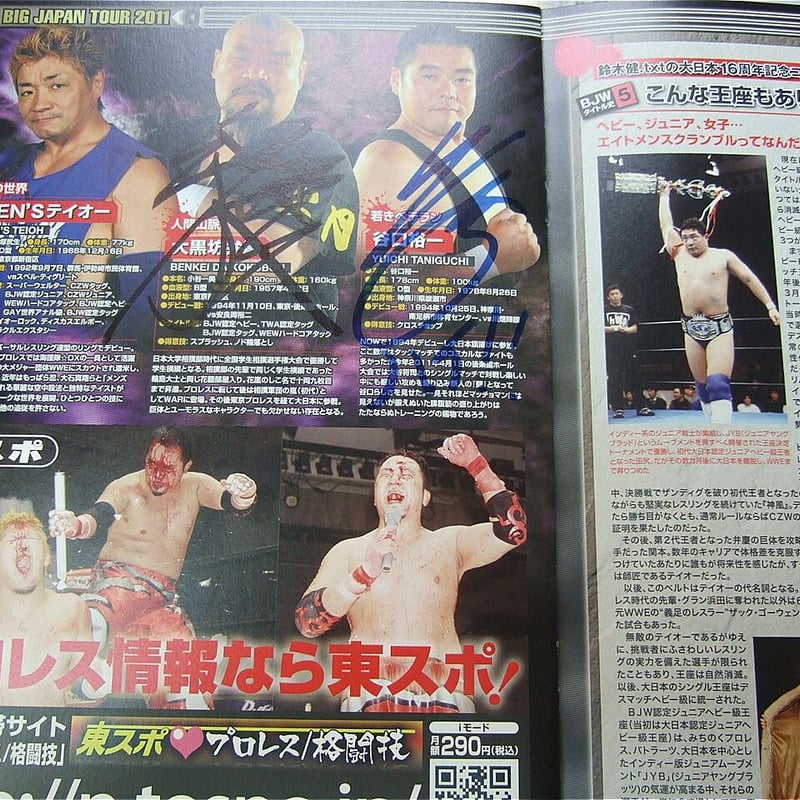 大日本プロレス2011年パンフレット（伊東竜二、葛西純、沼澤邪鬼