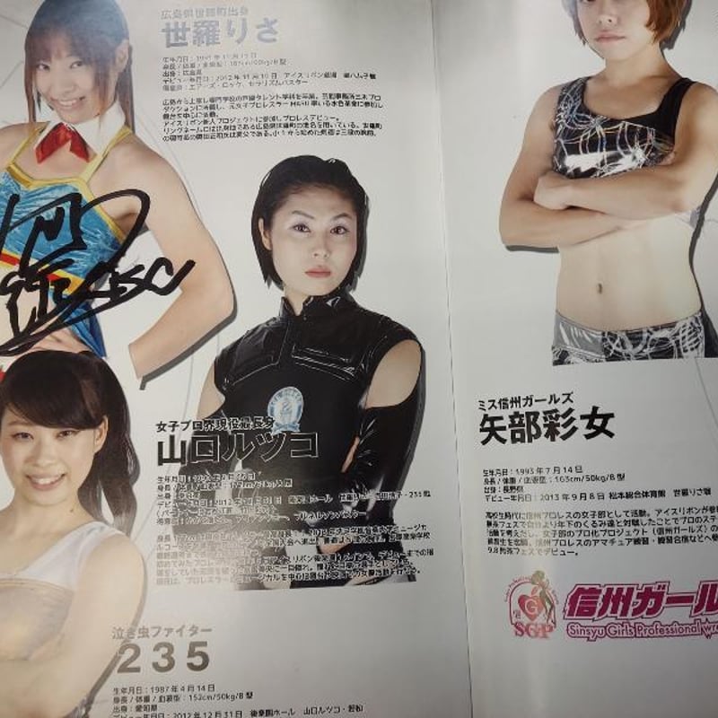 アイスリボン オフィシャルパンフレット2013（複数名直筆サイン