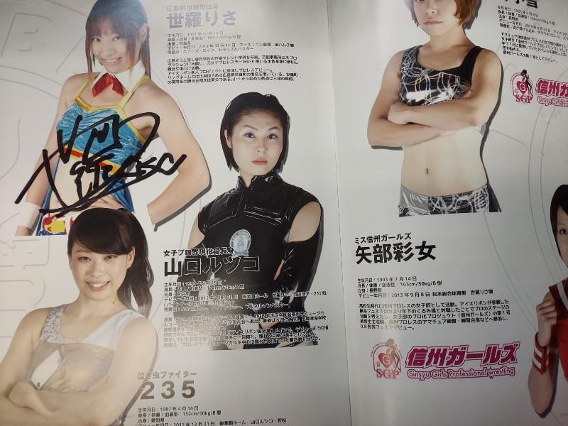 アイスリボン オフィシャルパンフレット2013（複数名直筆サイン入り