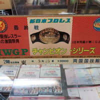 レックス・ルガー（WCW時代）可動式フィギュア（開封済） | プロレス