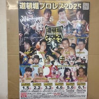 全日本プロレス1995年12月9日日本武道館大会ポスター（額入り