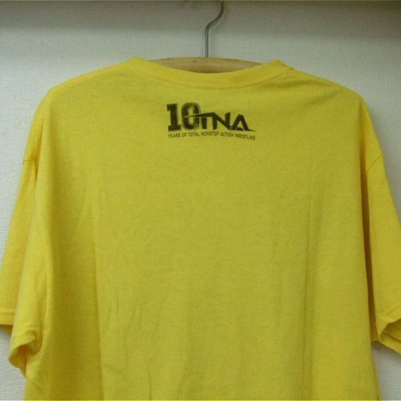 ハルクホーガン（TNA時代＆TNA10周年記念ロゴ入り）ビック