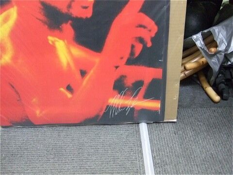 タイソンVSダグラス東京ドーム大会1990·2·11パンフレット