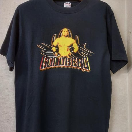 ブロンブレイカー 未使用 未開封 WWE 公式グッズ Tシャツ サイズL ブロンブレイカー 未使用 未開封 WWE 公式グッズ Tシャツ サイズ