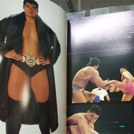 UWFインターナショナル1993年2月14日日本武道館大会パンフレット