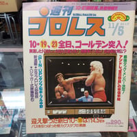 週刊プロレス 1985年11月5日号