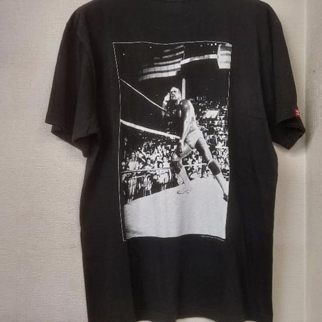 CATEGORY WWE WCW | プロレスショップチャンピオン