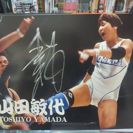 プロレス　パンフレット　直筆サイン入り 7選手のサイン付き 全日本プロレス 新春ジャイアント・シリーズ