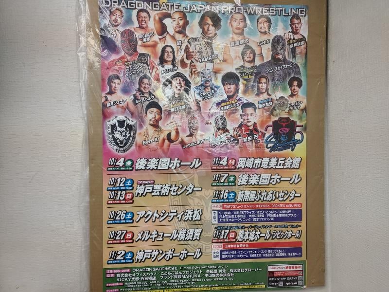 スポーツ・フィットネス DRAGONGATE 10th Anniversary DVD DVD Discography！ | DRAGONGATE