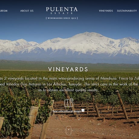 2022 Pulenta Estate, La Flor, Cabernet Sauvignon, Mendoza 　 ラ・フロール、カベルネ・ソーヴィニヨン、メンドーサ　／　プレンタエステート