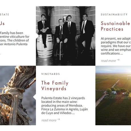 2022 Pulenta Estate, La Flor, Cabernet Sauvignon, Mendoza 　 ラ・フロール、カベルネ・ソーヴィニヨン、メンドーサ　／　プレンタエステート