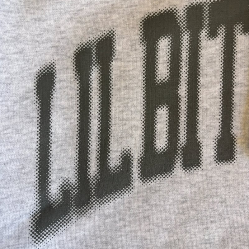 LBB BLUR COLLEGE LOGO ZIP HOODY (ASH x CHARCOAL