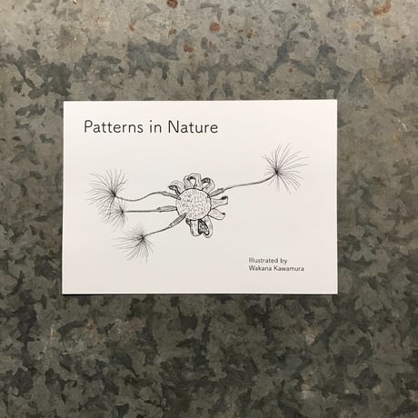 ぬりえ大判カードセット　Patterns in Nature -森と描く-
