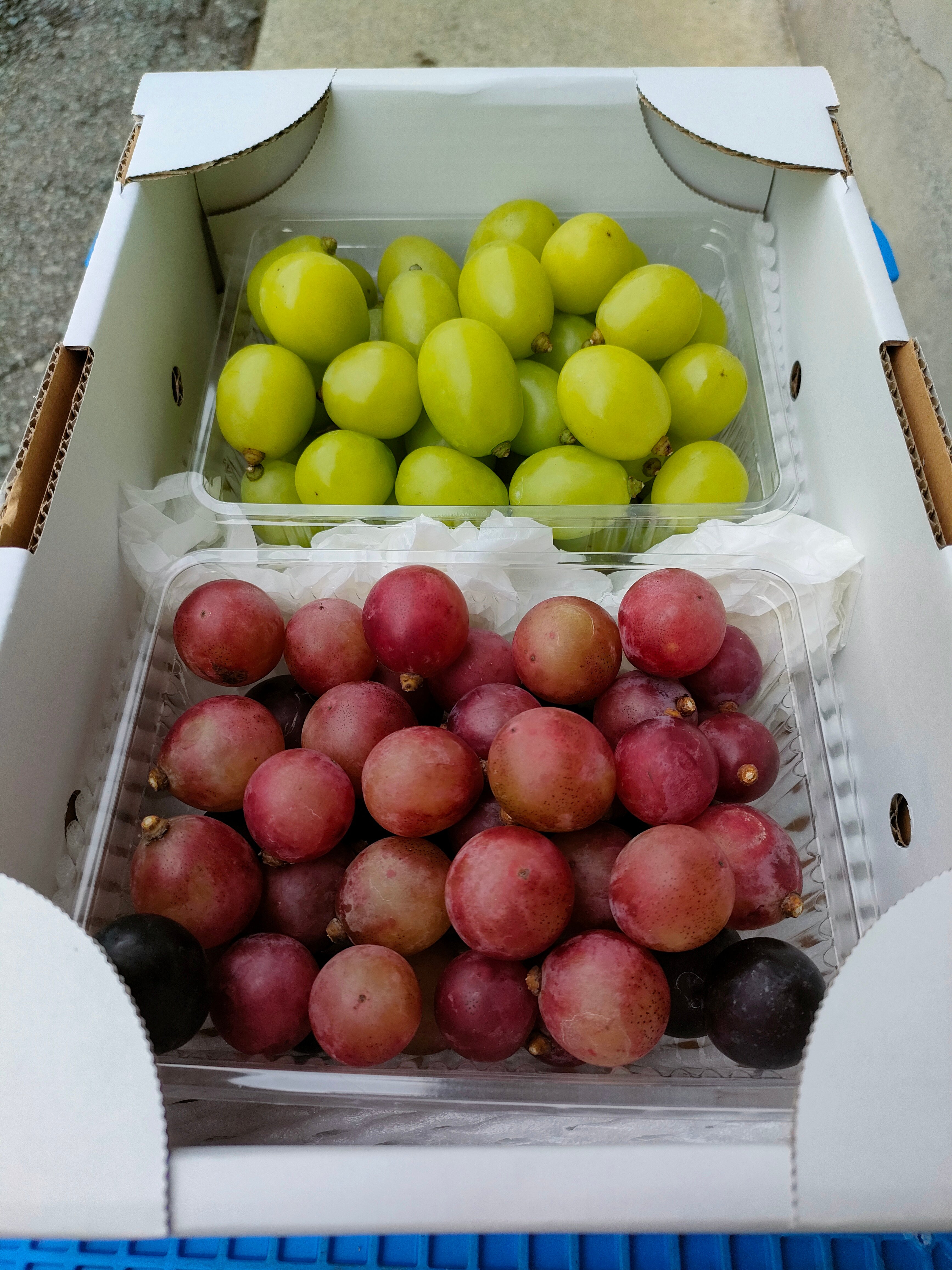 original