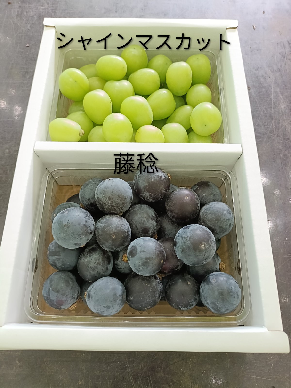 山形大粒ぶどう 粒つぶパック2P詰め合わせ | Fruits Farm MURANAMI