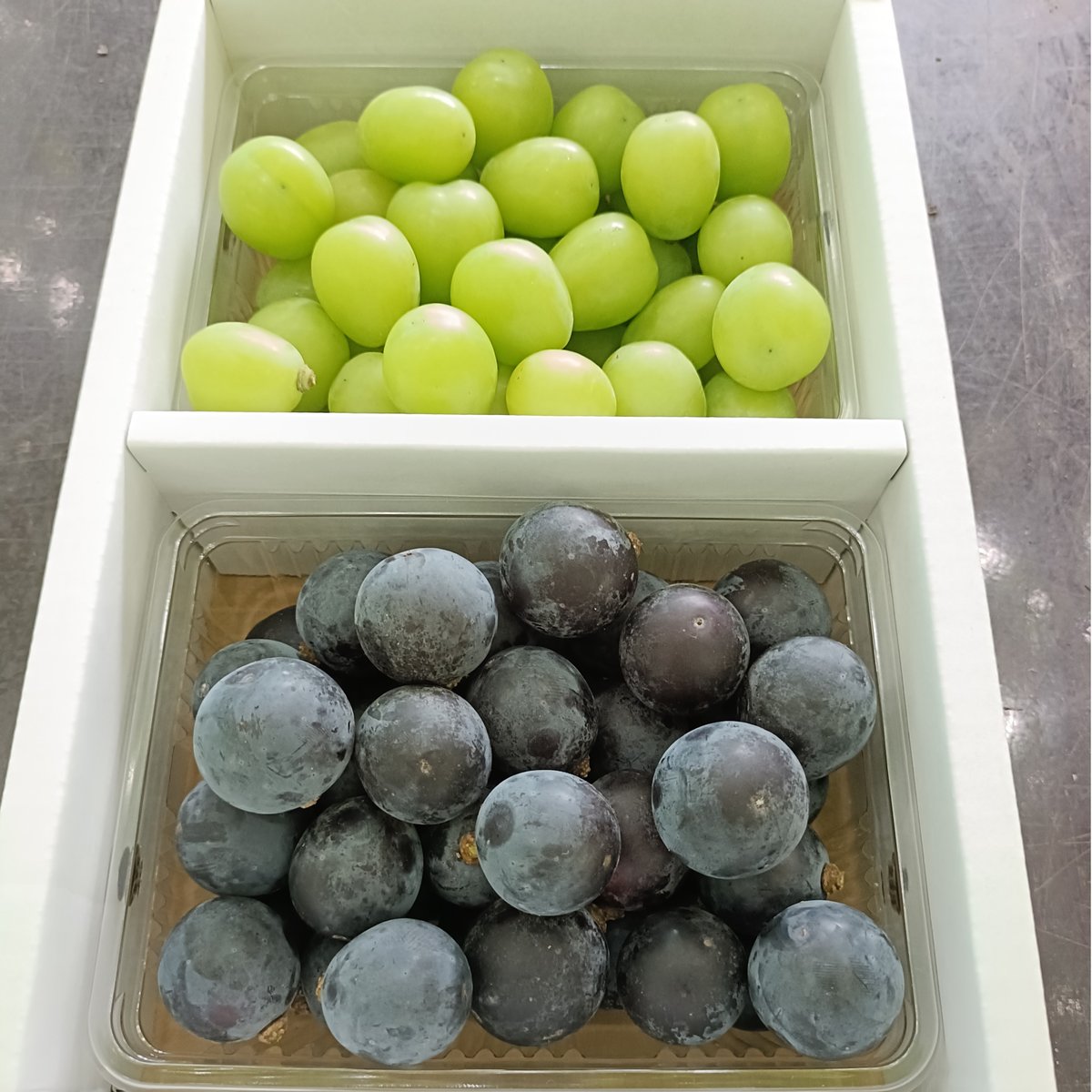山形大粒ぶどう 粒つぶパック2P詰め合わせ | Fruits Farm MURANAMI