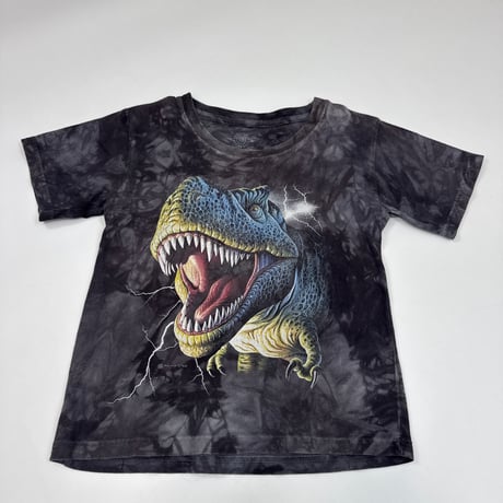 Dinosaur Tee 120