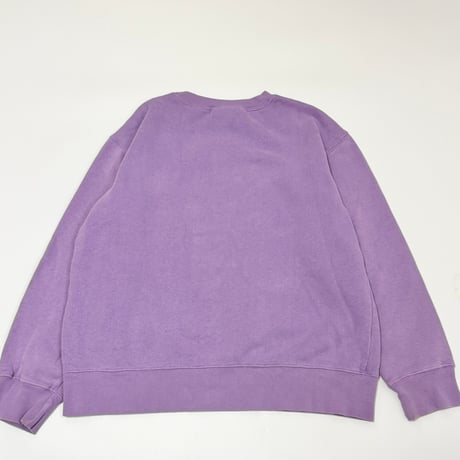 00's DisneyFairies Sweat 150
