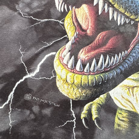 Dinosaur Tee 120