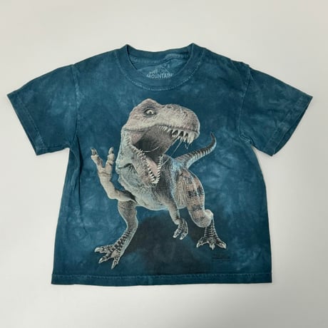 Trex tiedye Tshirt 110