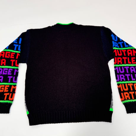 Turtles sweater 120
