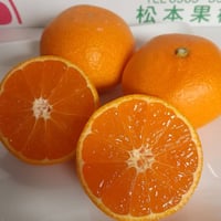 限定10箱!! 日本一のみかん屋さん　田口