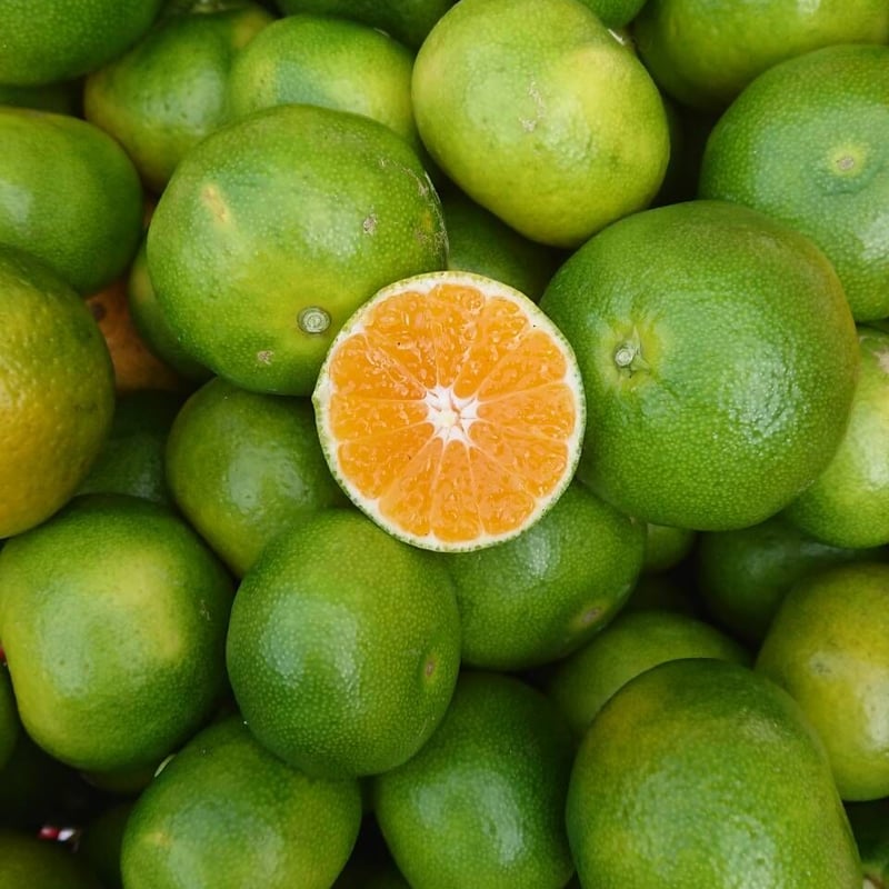 限定10箱!! 日本一のみかん屋さん 極早生ひなの姫 | Rselection