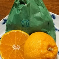 数量限定  10箱！冬を越した袋かけ樹成り完熟みかん　肥の豊(デコポン)