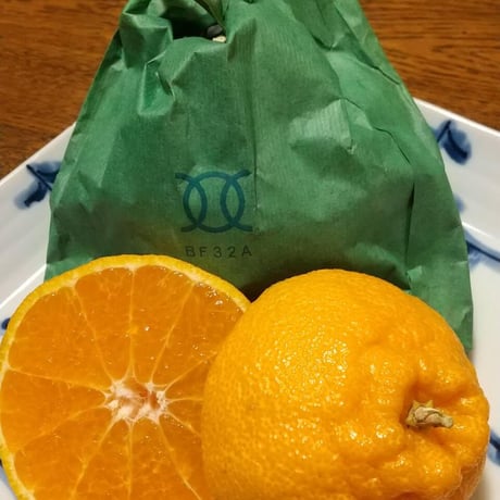 数量限定  10箱！冬を越した袋かけ樹成り完熟みかん　肥の豊(デコポン)