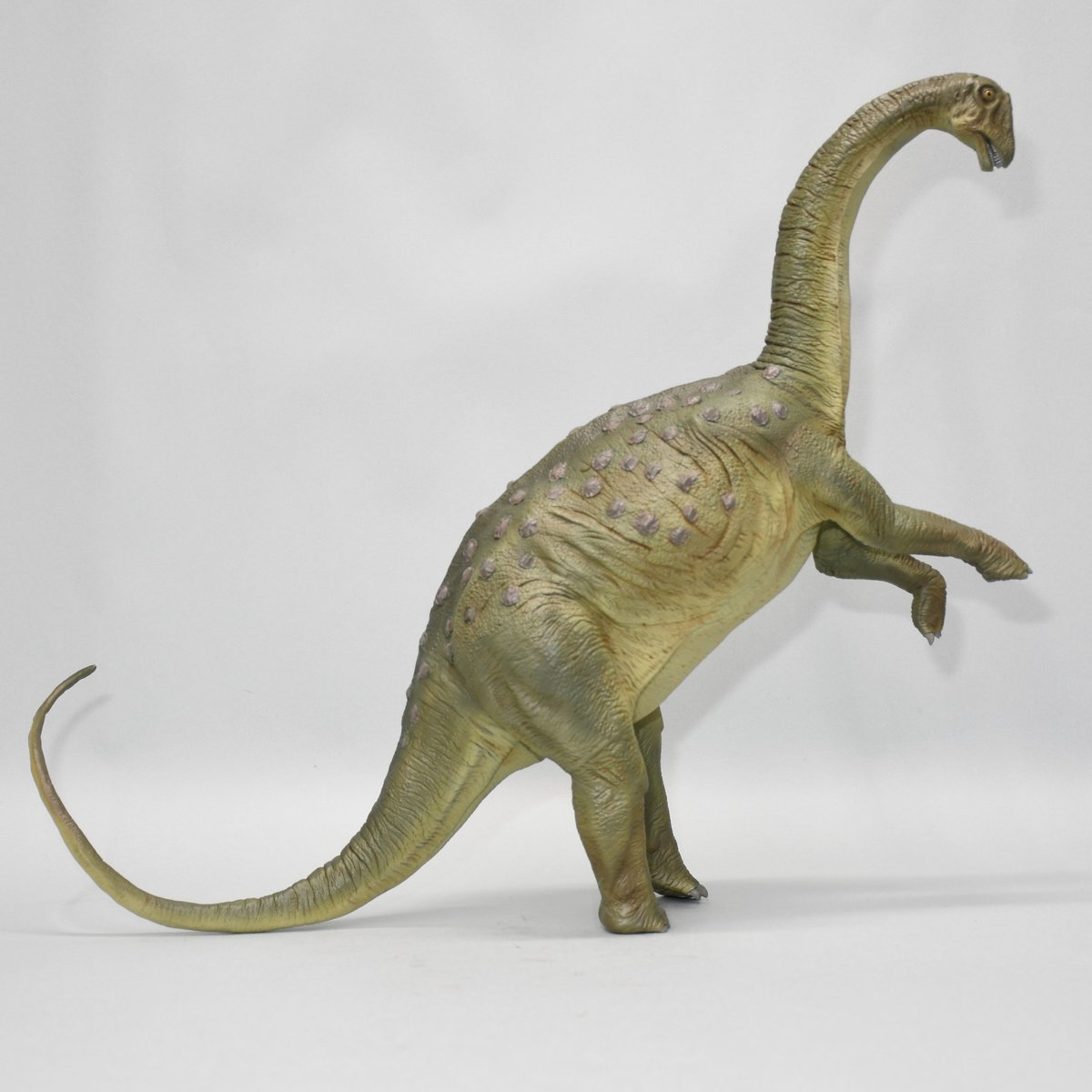 サルタサウルス　ソフトビニール製組立キット　DINOLAND　レガシーオブダイナソー