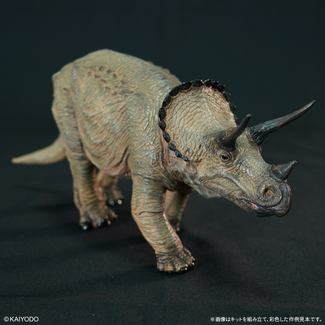大協製 トリケラトプス ソフビ フィギュア 生きていた恐竜 triceratops_kit_1_.jpg