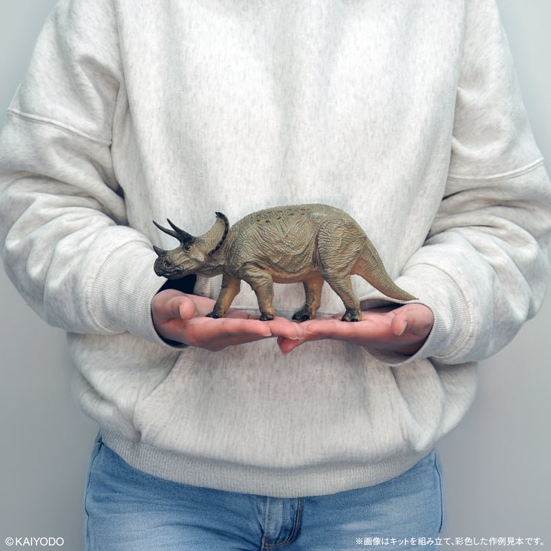 トリケラトプス (1/35スケール) | ソフビレガシー