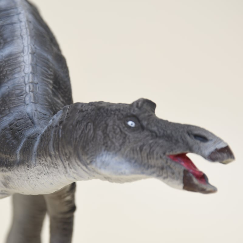 マイアサウラ ソフトビニール製組立キット DINOLAND レガシーオブ 