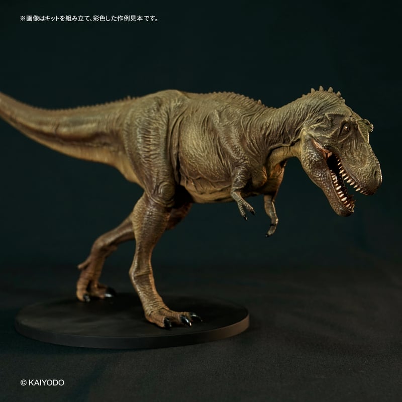 南国堂ソフビレガシー ティラノサウルス（タイプⅡ）塗装済完成