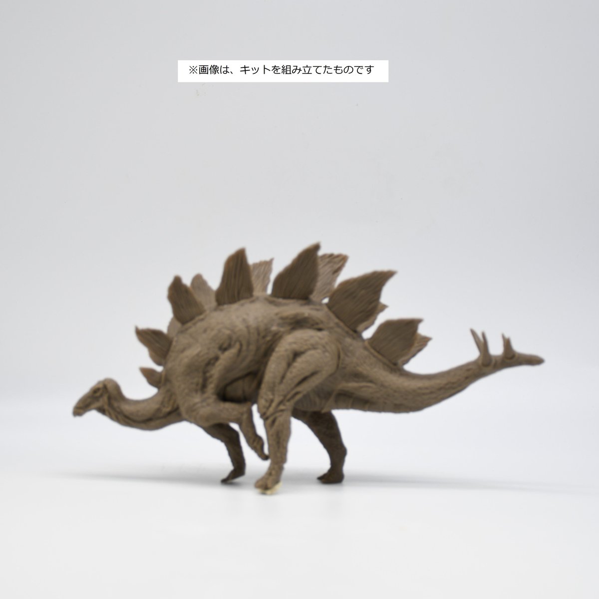 ★MiN ◡̈★　恐竜柄 fusuma-005-008f.jpg