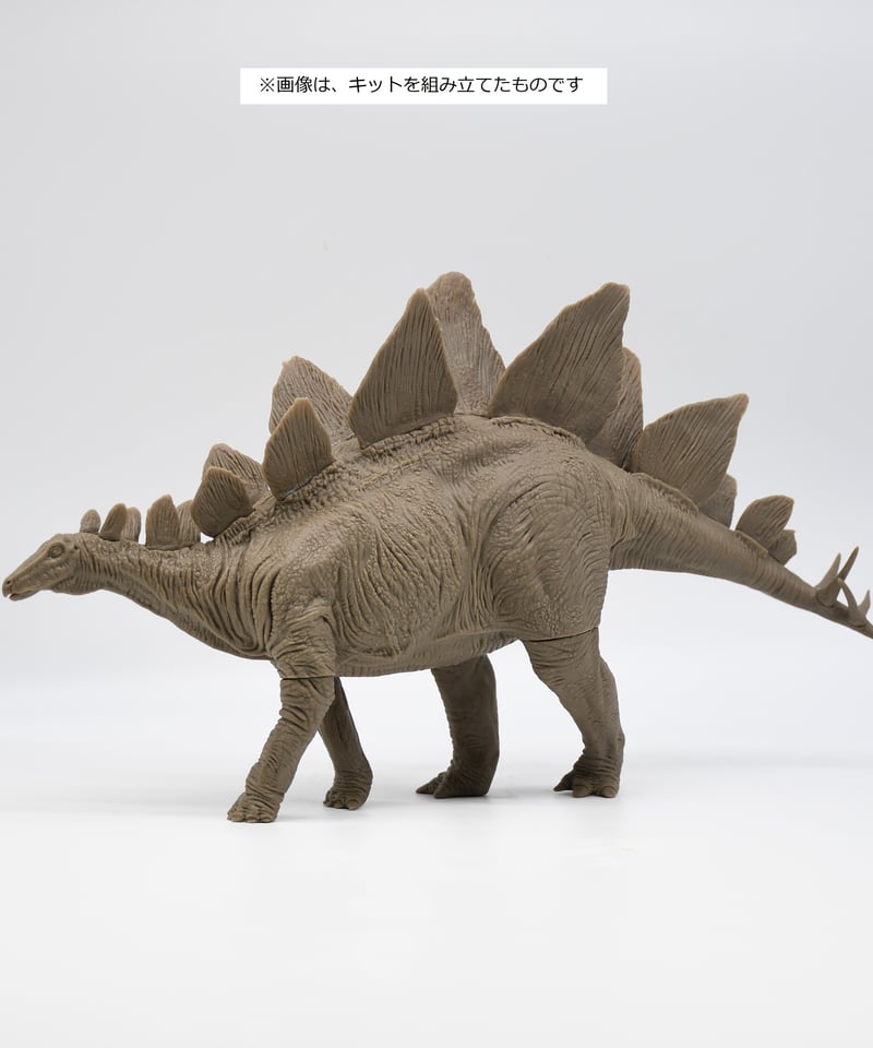 ステゴザウルス　国立 科学博物館　金属製　フィギュア ステゴザウルス 国立 科学博物館 金属製 フィギュア