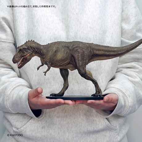 ティラノサウルス(タイプⅡ)