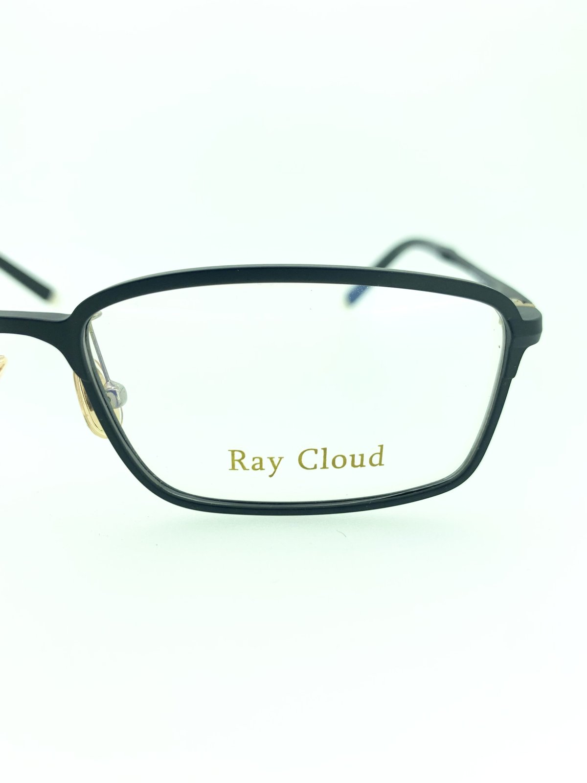 Ray Cloud 2108/1 | メガネ工房 STORES店