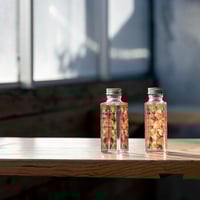 フルーツジン 房総いちご