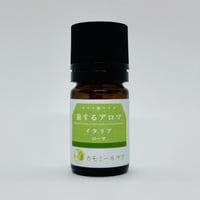 【人気！】旅するアロマ イタリア ローマ 5ml