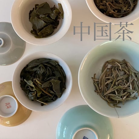 雲華の各種講座