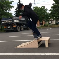 ランプ組み立てキットMサイズ NFボード滑走面 | スケボー ミニ