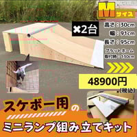 スケボー ミニランプ 組み立てキット Sサイズpro2台セット