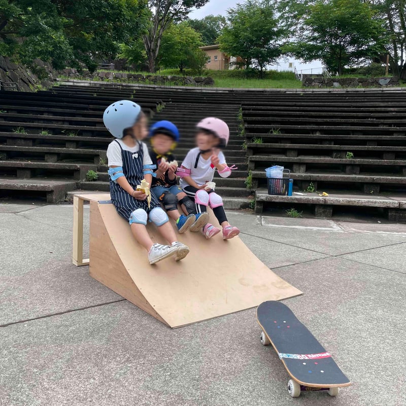 スケボーランプ ミニランプ スケボーセクション - その他スポーツ