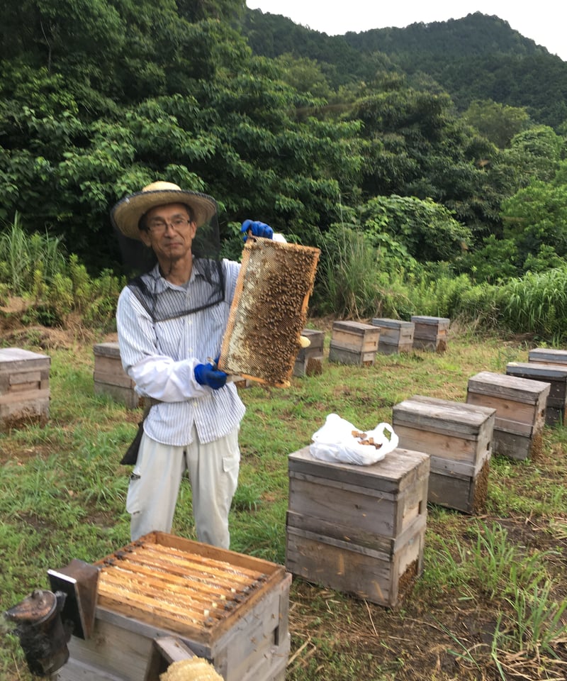 特製スペシャルPPRH 480g×2 日本ハニコ ハチミツ