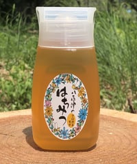 八百津のはちみつ　　＊クロガネモチ＊　300g
