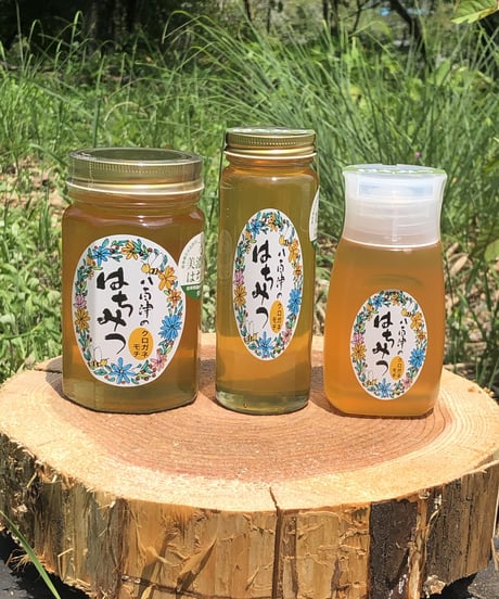 八百津のはちみつ　　＊クロガネモチ＊　280g